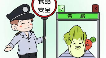 食 字路口,怎么守住安全這道紅線