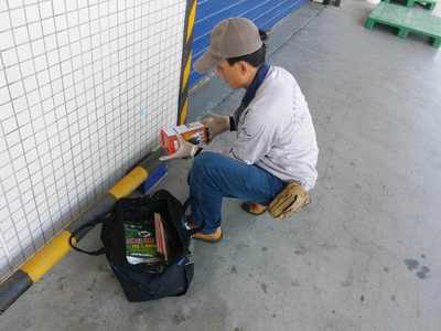 食品廠老鼠防治方案，早用早省心 清潔服務助您無憂經營